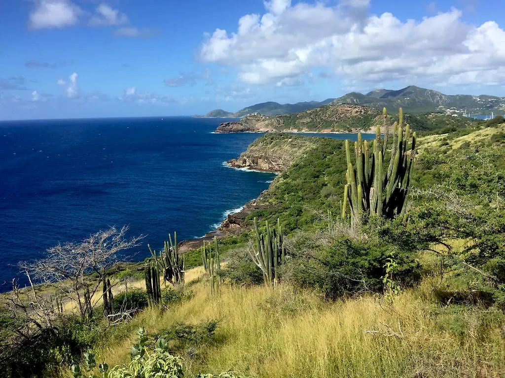 Blue Moon Antigua Villa English Harbour